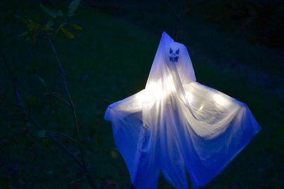 Gruselwald in Westerhusen - Bild 4