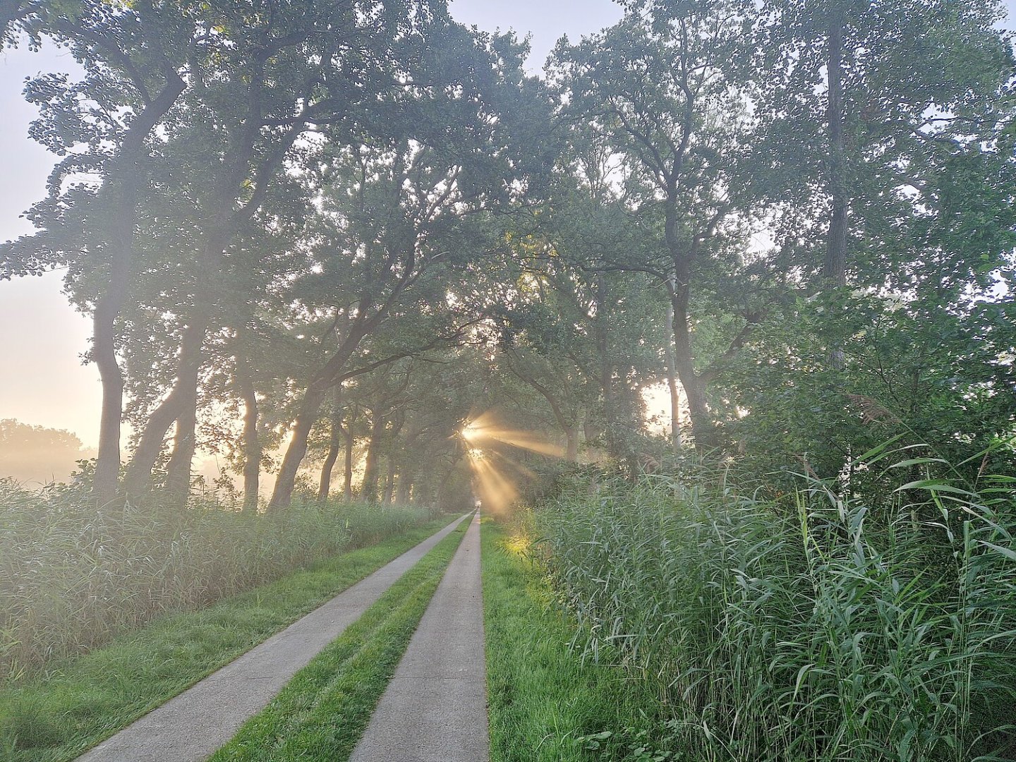 Die schönsten Alleen in Ostfriesland - Bild 22