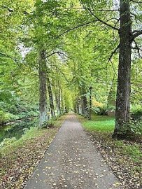 Die schönsten Alleen in Ostfriesland - Bild 28