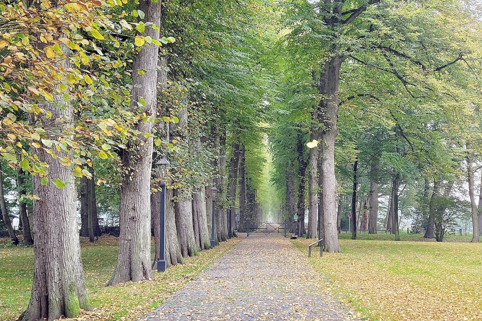 Die schönsten Alleen in Ostfriesland - Bild 31
