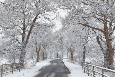 Die schönsten Alleen in Ostfriesland - Bild 39