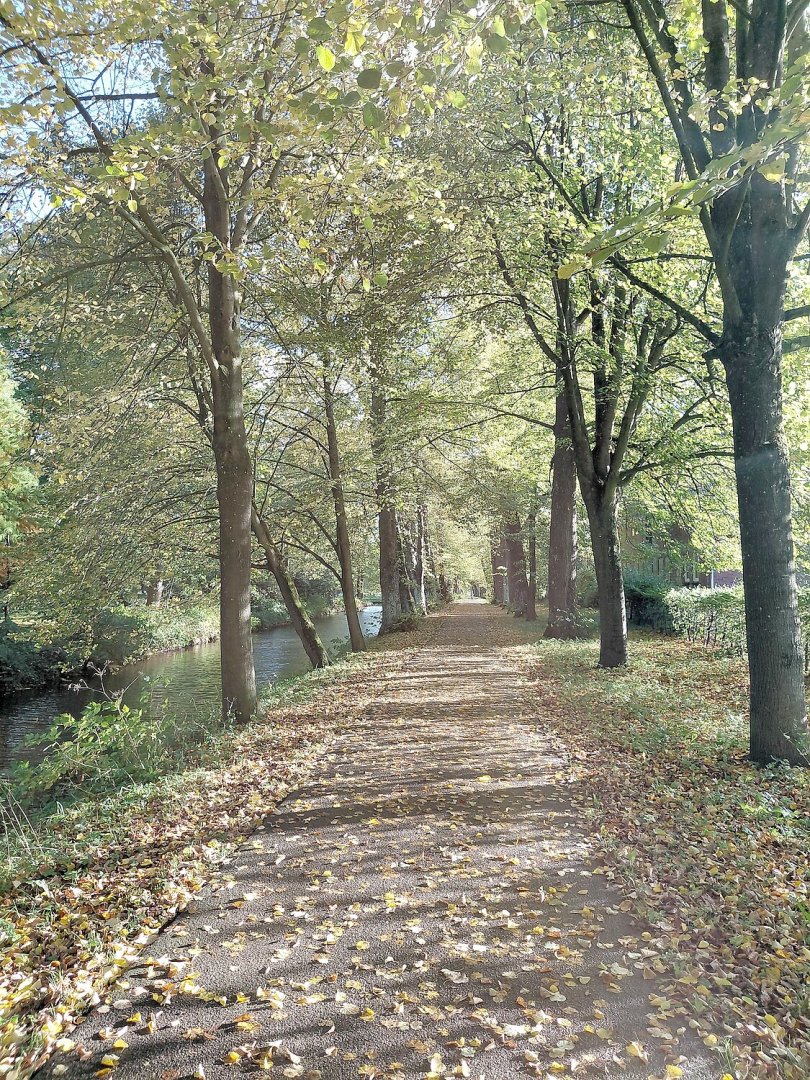 Die schönsten Alleen in Ostfriesland - Bild 43