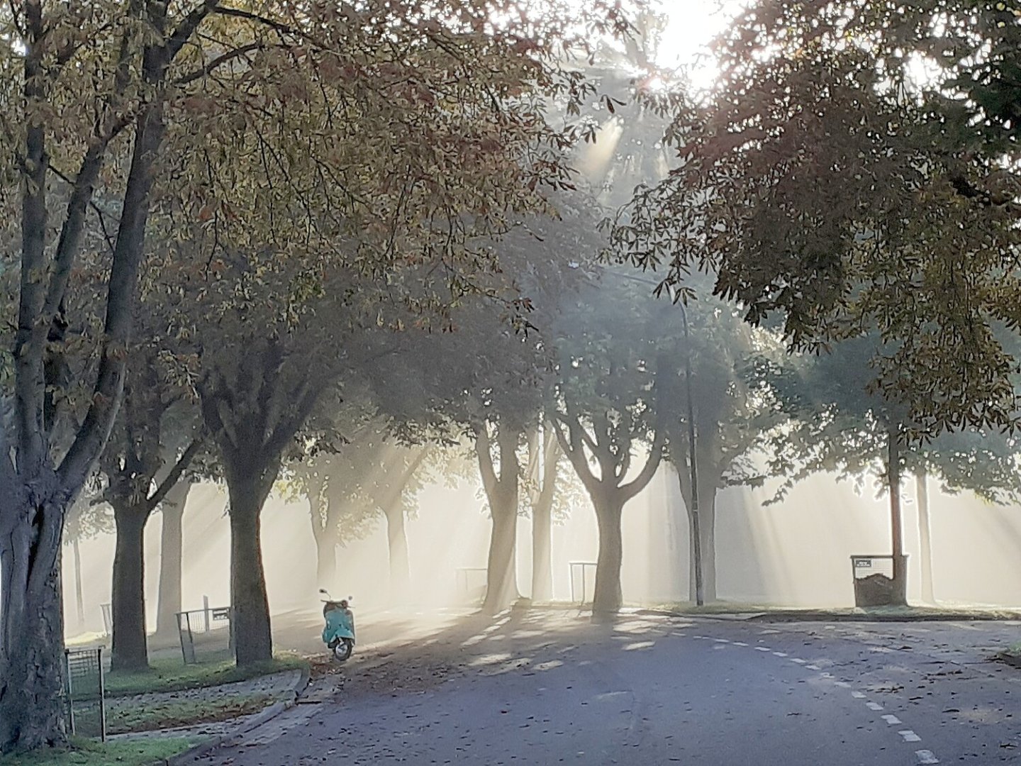 Die schönsten Alleen in Ostfriesland - Bild 46