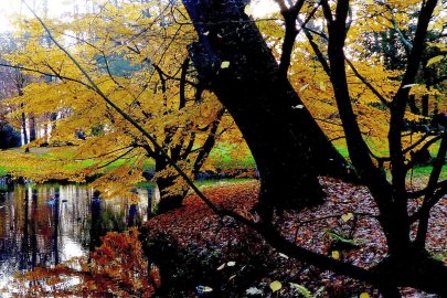 So schön ist unser Ostfriesland, Teil 4 - Bild 4