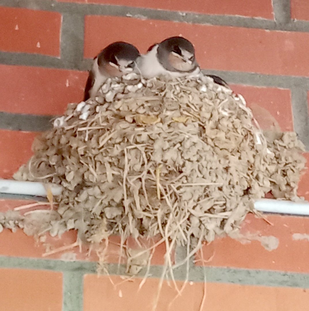 So schön ist unser Ostfriesland, Teil 3 - Bild 7