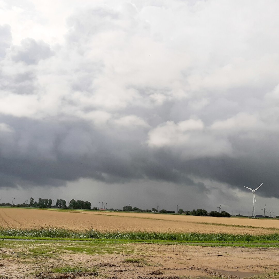 So schön ist unser Ostfriesland, Teil 4 - Bild 5