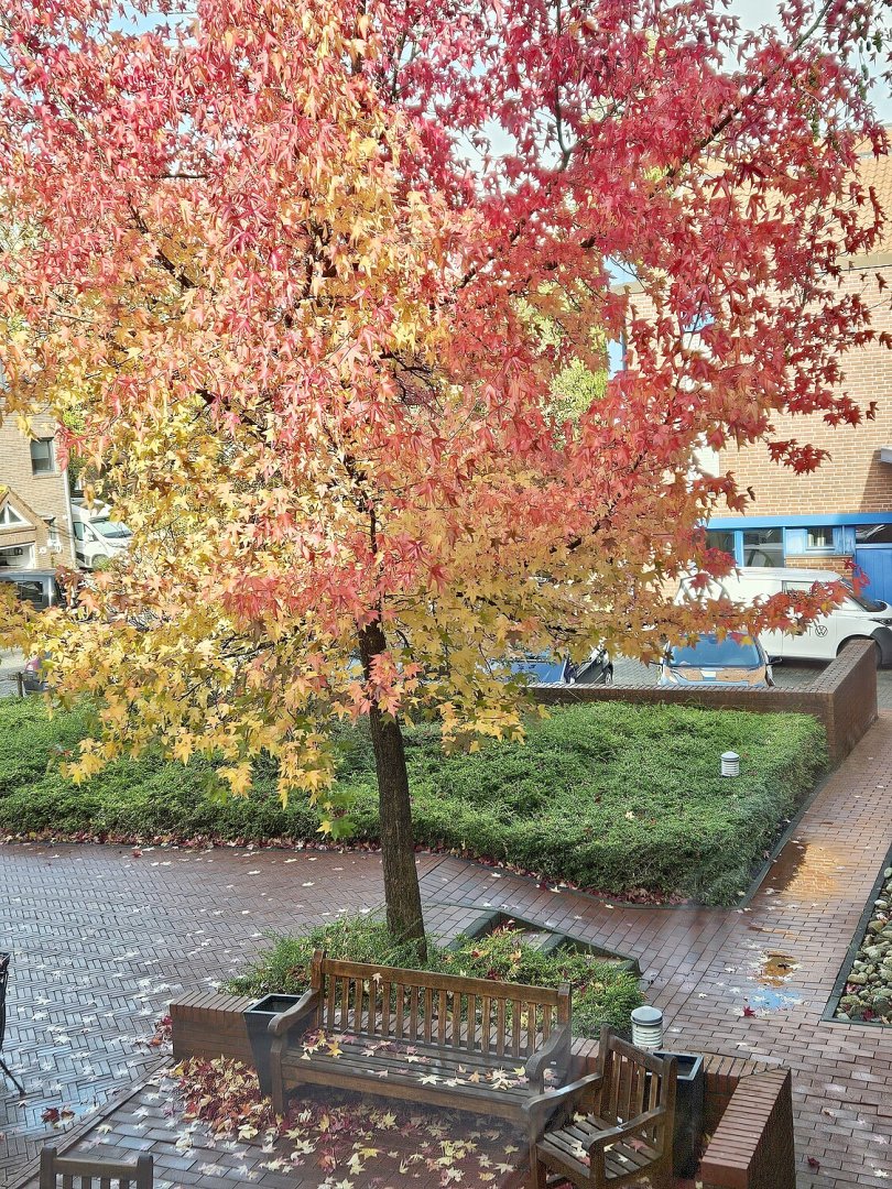 So schön ist unser Ostfriesland, Teil 4 - Bild 9