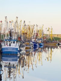 So schön ist unser Ostfriesland, Teil 4 - Bild 12