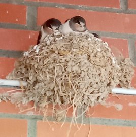 So schön ist unser Ostfriesland, Teil 3 - Bild 7