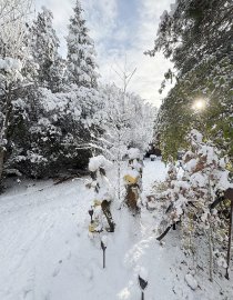 Schnee in Ostfriesland - Bild 44