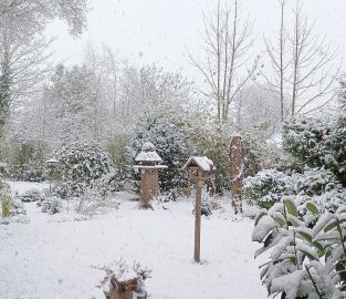 Schnee in Ostfriesland - Bild 14