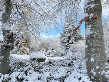 Schnee in Ostfriesland - Bild 24