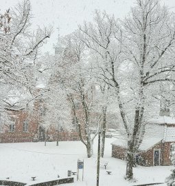 Schnee in Ostfriesland - Bild 48