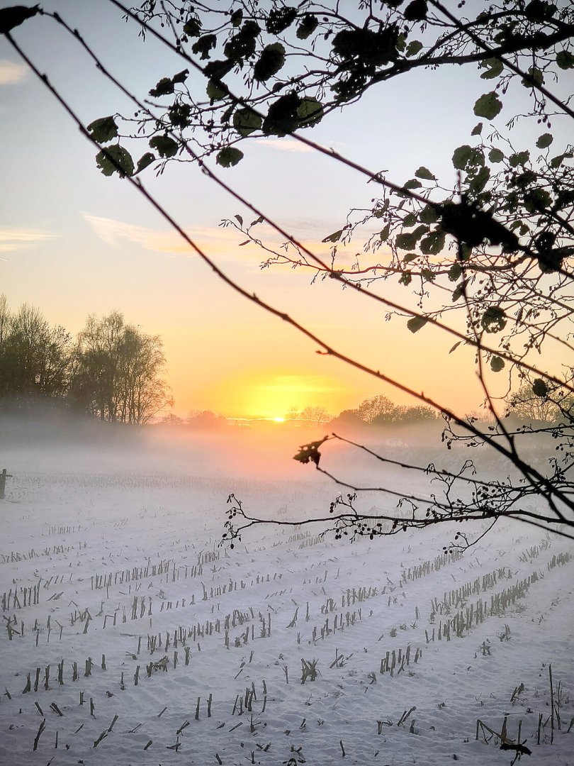 Schnee in Ostfriesland - Bild 72