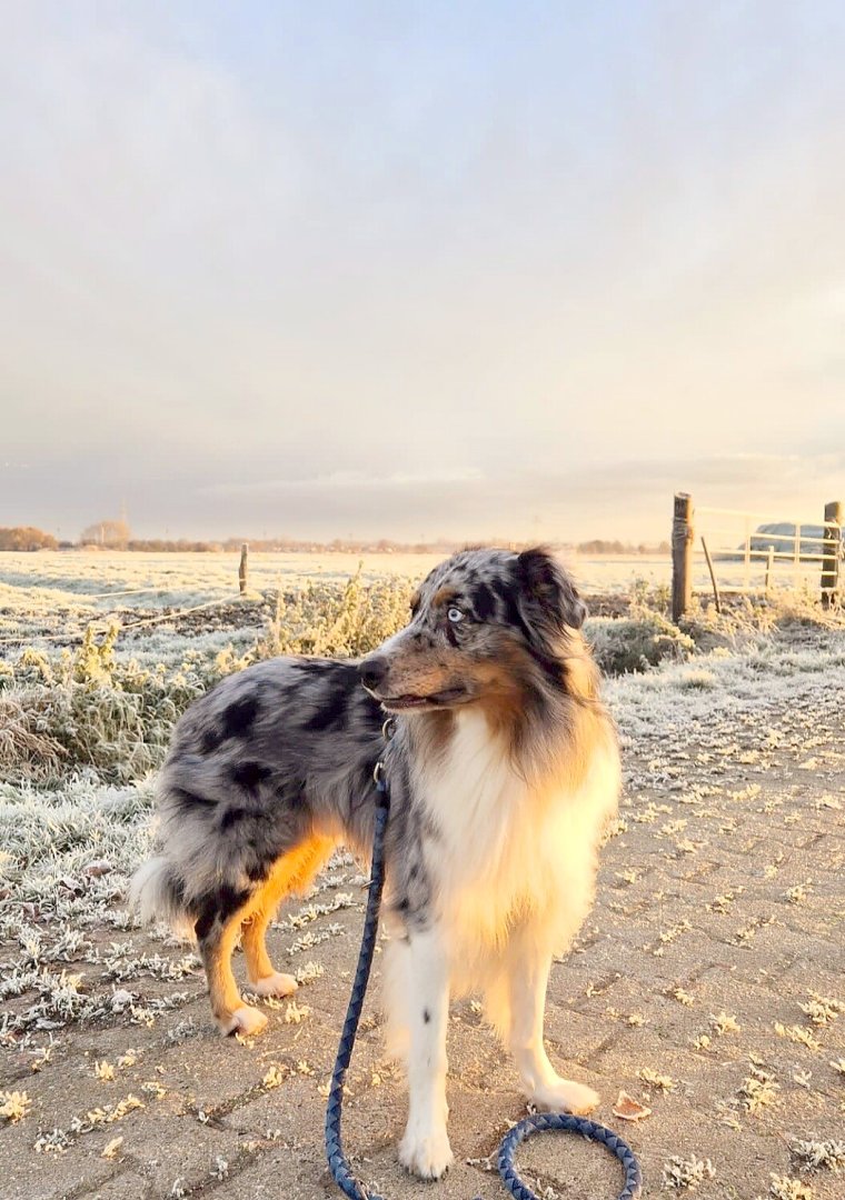 Schnee in Ostfriesland - Bild 87