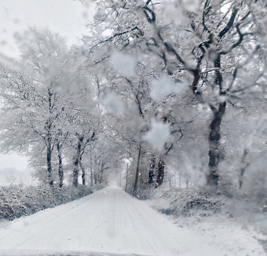 Schnee in Ostfriesland - Bild 90
