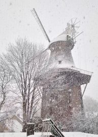 Schnee in Ostfriesland - Bild 93
