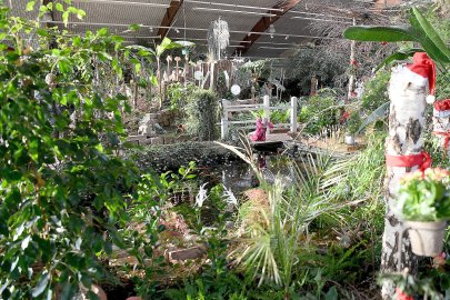 Weihnachtsmarkt in Wiesmoor - Bild 3