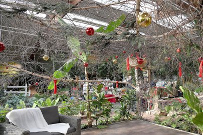 Weihnachtsmarkt in Wiesmoor - Bild 4