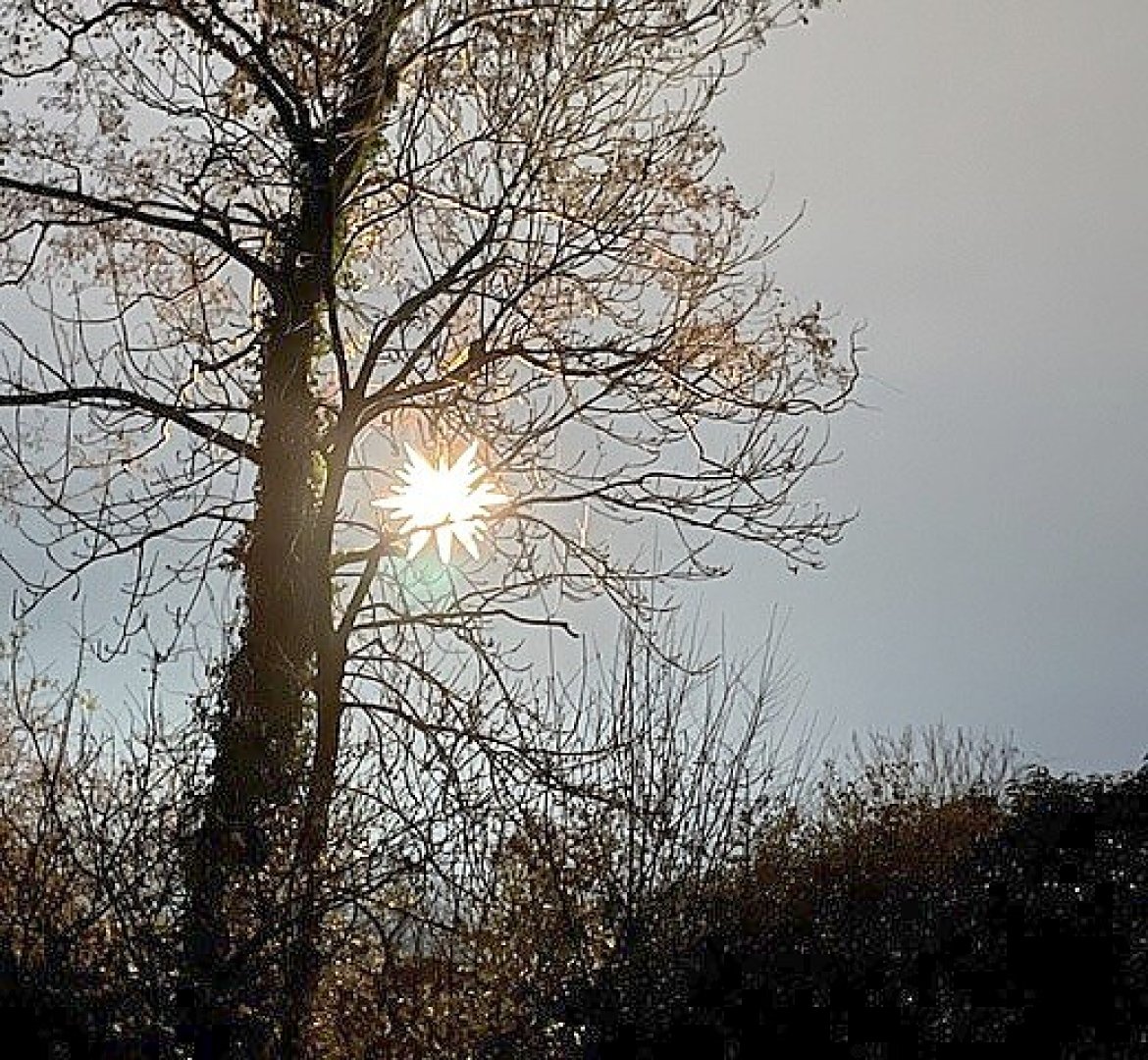 Weihnachtsbeleuchtung in Ostfriesland - Bild 14