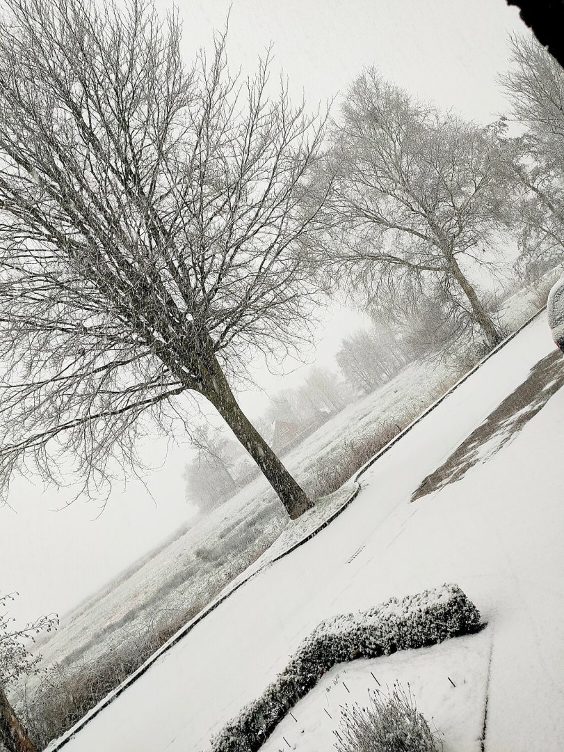 Schnee in Ostfriesland (Leserfotos, Teil 1) - Bild 12
