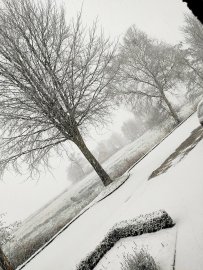 Schnee in Ostfriesland (Leserfotos, Teil 1) - Bild 12