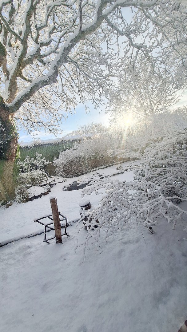 Schnee in Ostfriesland (Leserfotos, Teil 1) - Bild 19