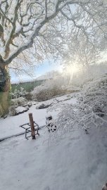 Schnee in Ostfriesland (Leserfotos, Teil 1) - Bild 19