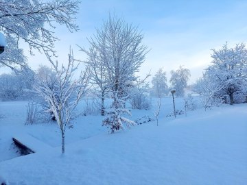 Schnee in Ostfriesland (Leserfotos, Teil 1) - Bild 21