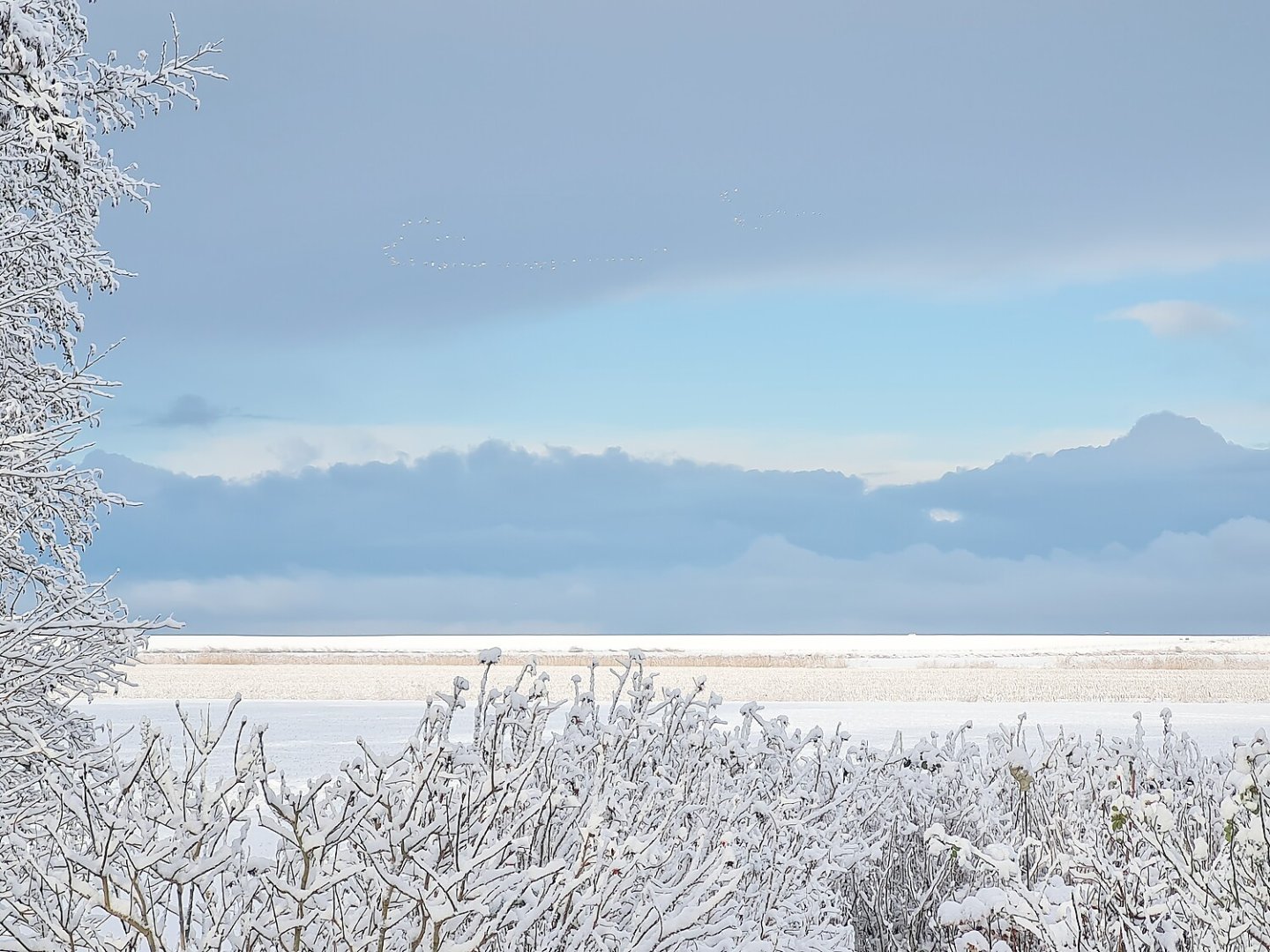Schnee in Ostfriesland (Leserfotos, Teil 1) - Bild 25