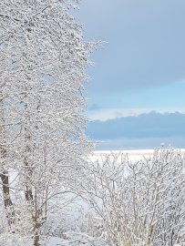 Schnee in Ostfriesland (Leserfotos, Teil 1) - Bild 26