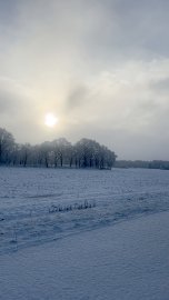 Schnee in Ostfriesland (Leserfotos, Teil 1) - Bild 27