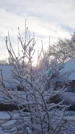 Schnee in Ostfriesland (Leserfotos, Teil 1) - Bild 30