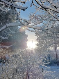 Schnee in Ostfriesland (Leserfotos, Teil 1) - Bild 35