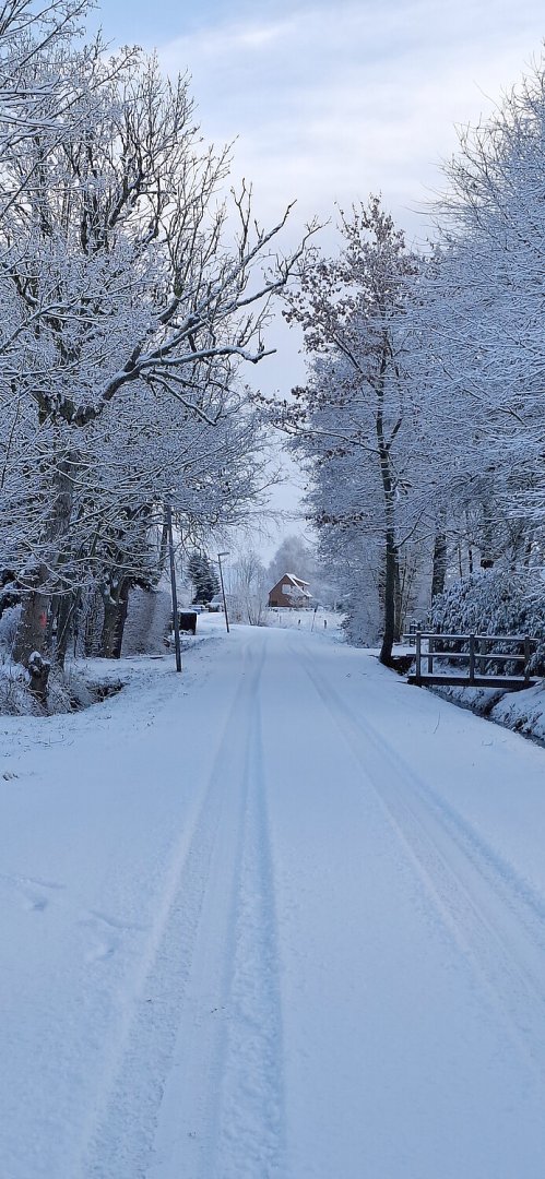 Schnee in Ostfriesland (Leserfotos, Teil 1) - Bild 41