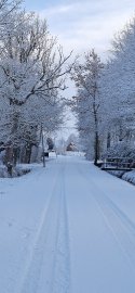 Schnee in Ostfriesland (Leserfotos, Teil 1) - Bild 41