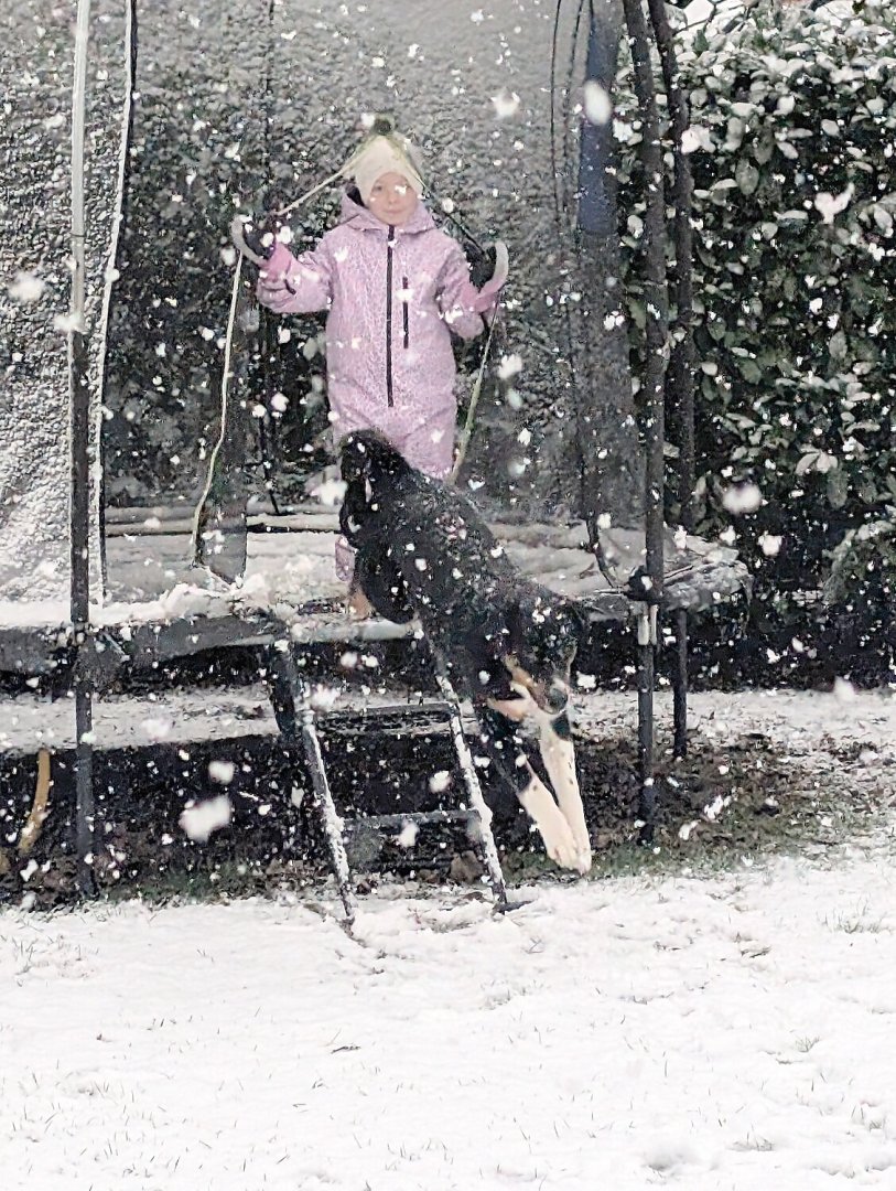 Schnee in Ostfriesland (Leserfotos, Teil 1) - Bild 42