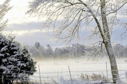 Schnee in Ostfriesland (Leserfotos, Teil 1) - Bild 73