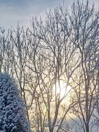 Schnee in Ostfriesland (Leserfotos, Teil 2) - Bild 6