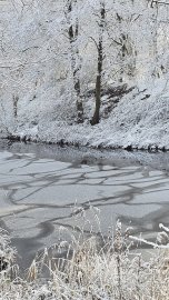 Schnee in Ostfriesland (Leserfotos, Teil 2) - Bild 10