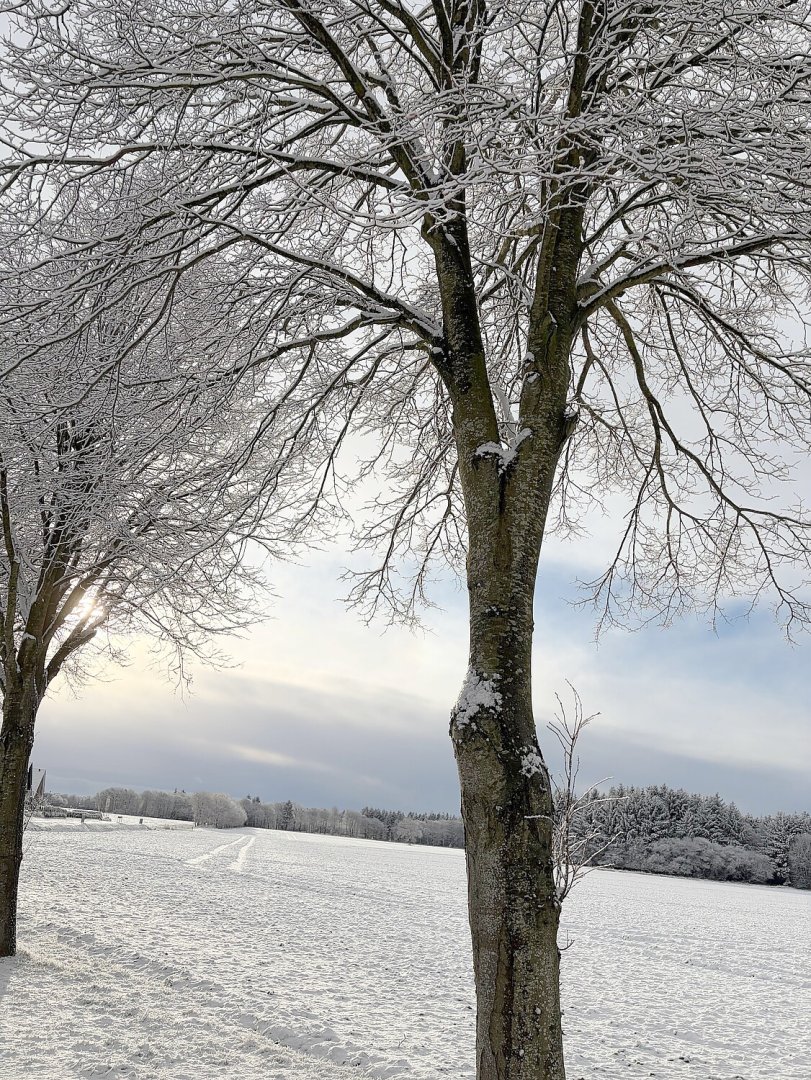 Schnee in Ostfriesland (Leserfotos, Teil 2) - Bild 28