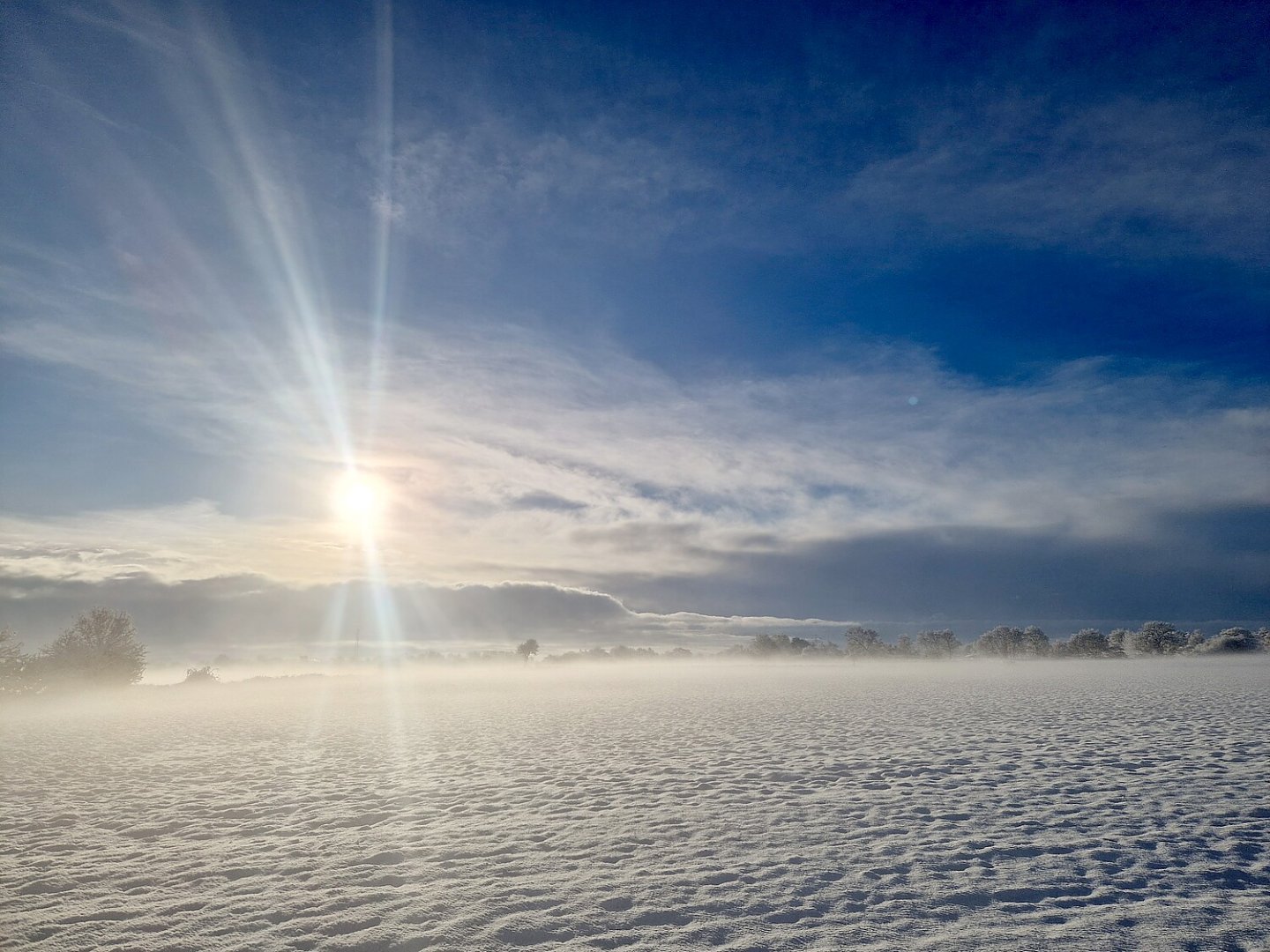 Schnee in Ostfriesland (Leserfotos, Teil 2) - Bild 30