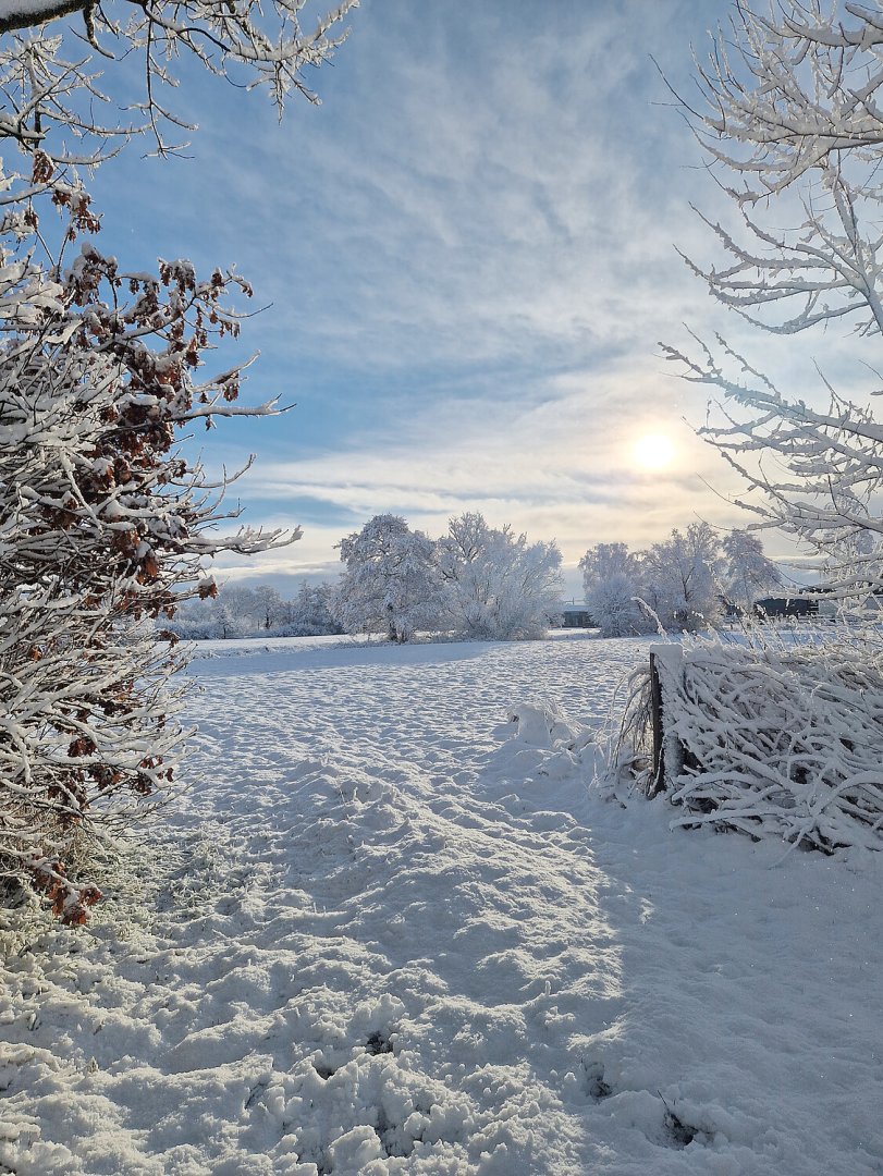 Schnee in Ostfriesland (Leserfotos, Teil 2) - Bild 35