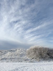 Schnee in Ostfriesland (Leserfotos, Teil 2) - Bild 49