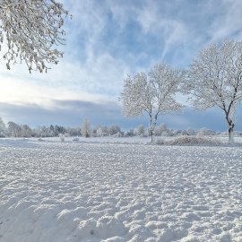 Schnee in Ostfriesland (Leserfotos, Teil 2) - Bild 52