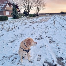 Schnee in Ostfriesland (Leserfotos, Teil 2) - Bild 70