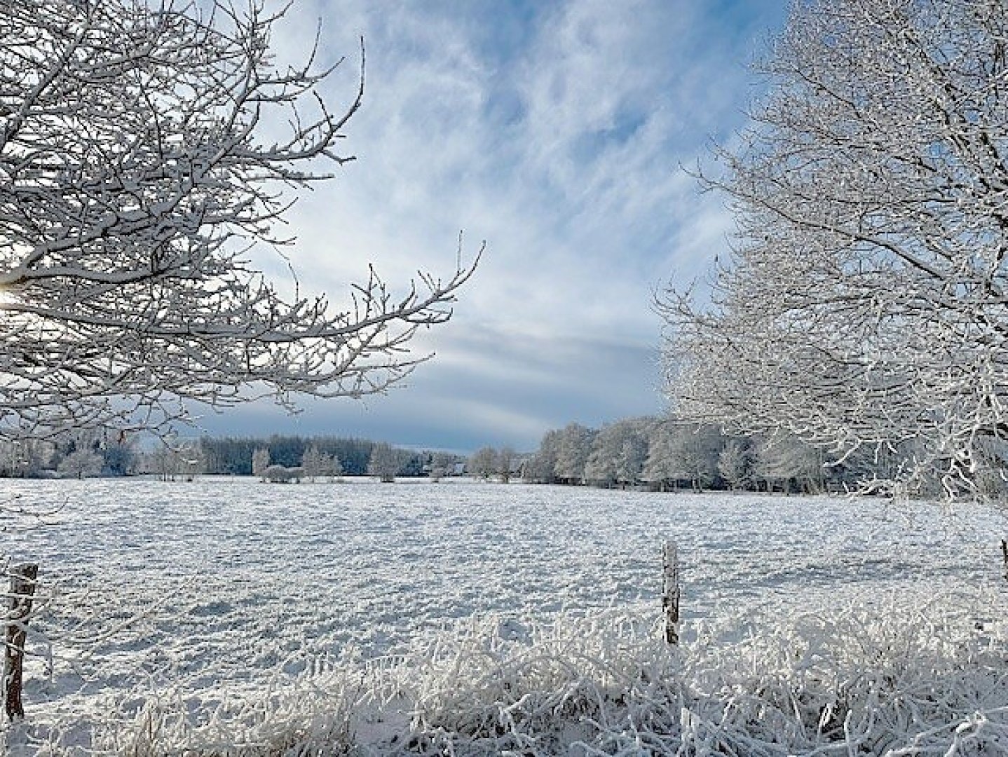 Schnee in Ostfriesland (Leserfotos, Teil 2) - Bild 79
