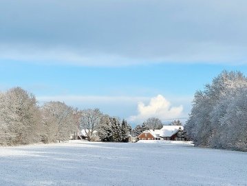Schnee in Ostfriesland (Leserfotos, Teil 2) - Bild 81