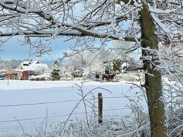 Schnee in Ostfriesland (Leserfotos, Teil 2) - Bild 84
