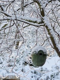 Schnee in Ostfriesland (Leserfotos, Teil 2) - Bild 88